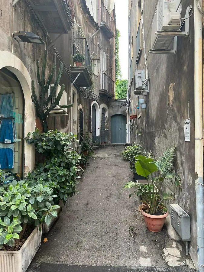 Pensionat Etnea Room'S Catania